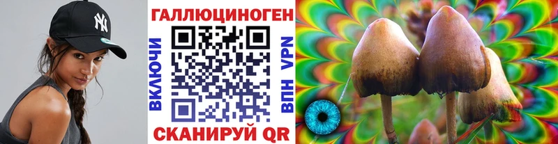 Псилоцибиновые грибы Magic Shrooms  Вологда 