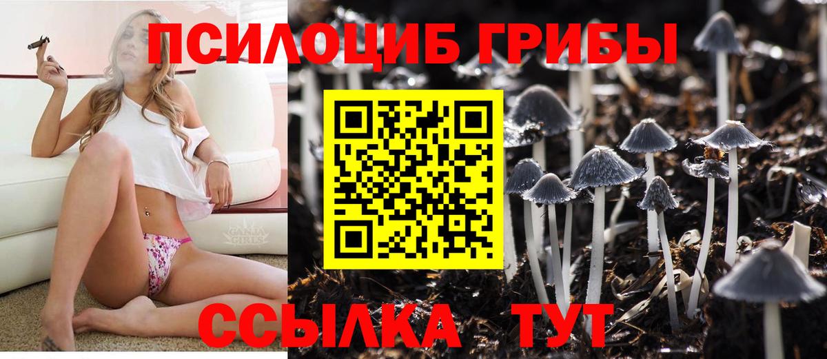 Вологда  Псилоцибиновые грибы Cubensis  Галлюциногенные грибы GOLDEN TEACHER  Вход с VPN 