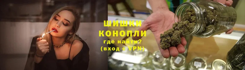 Бошки марихуана VHQ  как найти наркотики  Вологда 