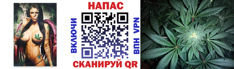 Шишки марихуана конопля  хочу наркоту  Вологда 